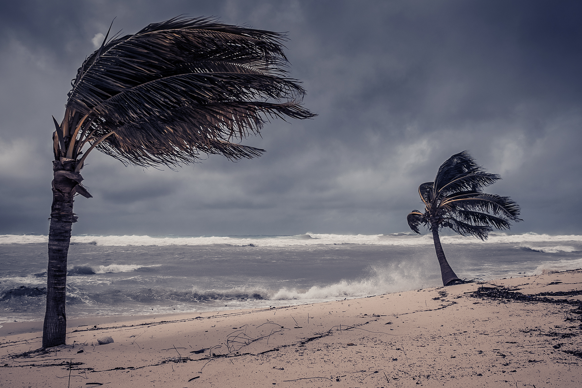 hurricane-delta-cayman-island | Zuum hurricane delta ravaging in cayman island